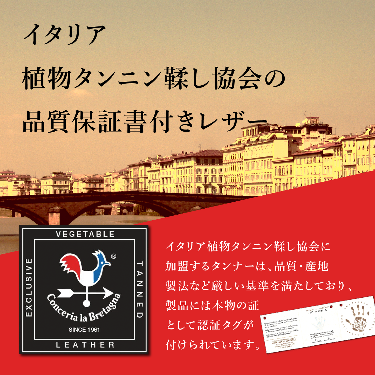 ペコスハードレザーベルト  サイズ調整OK ビジネス 本革 レザー 紳士 メンズ プレゼント 祝い